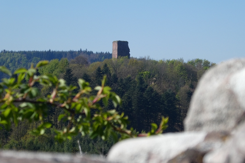 P1030398.JPG - Von hier entdecken wir den Turm der Burgruine "Grand Geroldseck".
