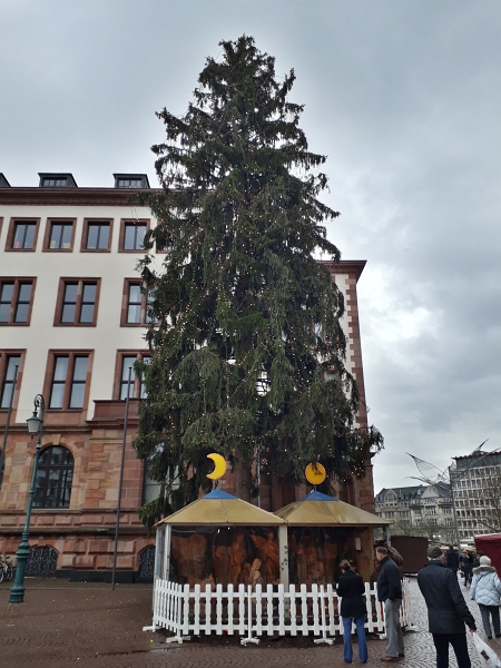 20171230_133722.jpg - Vor dem Rathaus steht ein gigantischer Weihnachtsbaum!