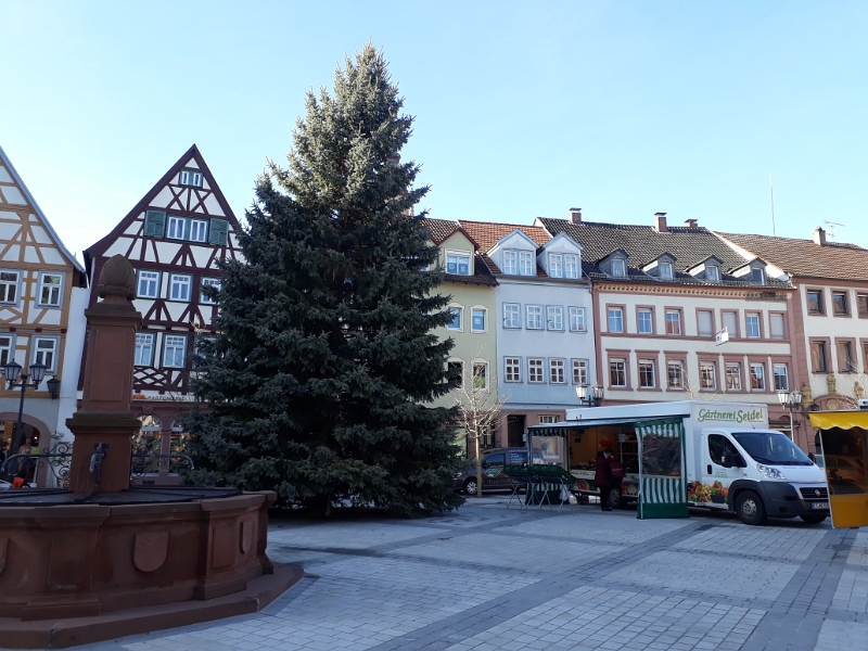 20180130_113529.jpg - Hä, auf dem Marktplatz steht immer noch der Weihnachtsbaum?!?