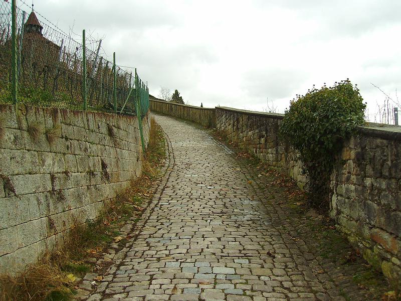 IMGP0080.JPG - Ich beschloss die Treppen auszulassen um die Burgsteige hochzulaufen... AUCH NICHT BESSER!!!Mann, ist das steil!!! *UFF*