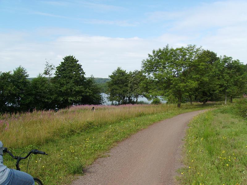 IMGP0242.JPG - Ein schöner Radweg führt um den See.