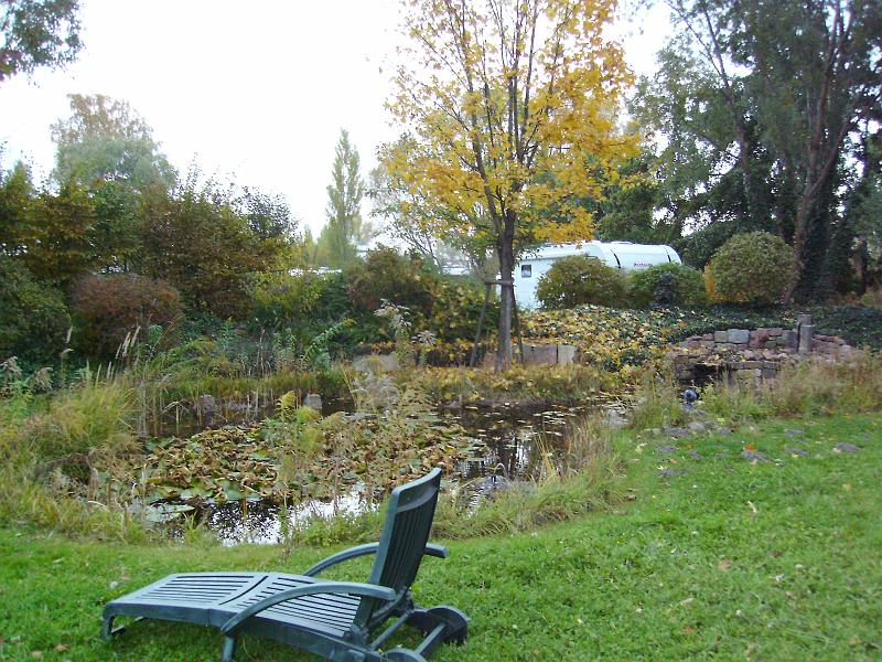 IMGP0683.JPG - Direkt hinter dem Stellplatz ist ein Teich angelegt... Leider sieht es im Herbst nicht sooo schön aus.