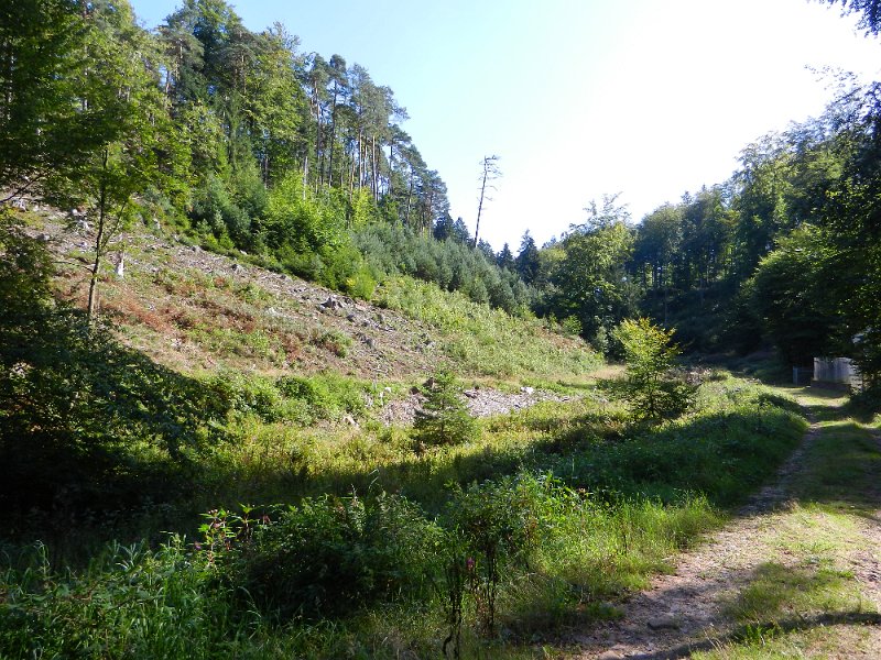 DSCN1713.JPG - *UFF* es geht steil den Berg hoch... Ich bin schon jetzt Pitschnass