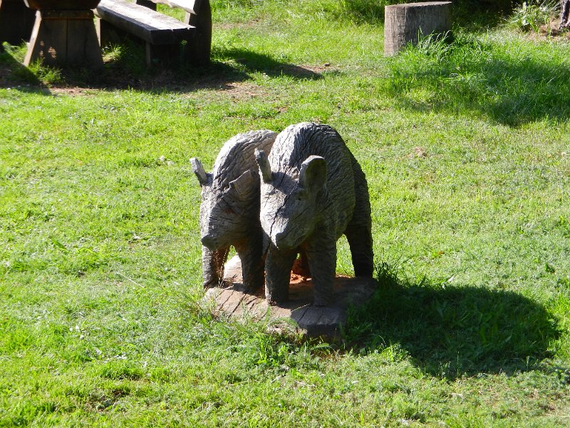 DSCN1730.JPG - Wildschwein zum Grillen?