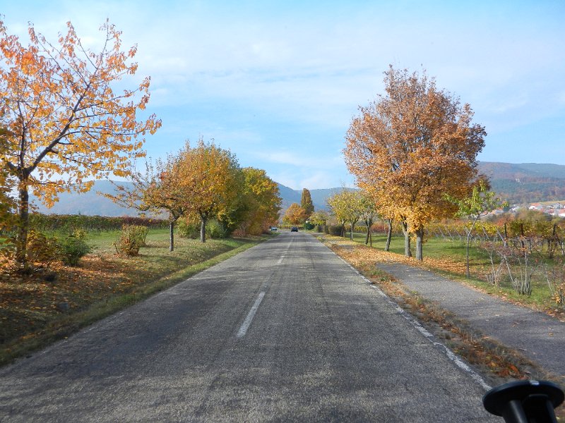 DSCN3823.JPG - Kurz darauf fahren wir die Villastraße in Edenkoben hoch, Richtung "Villa Ludwigshöhe". Wir wollen eine größere Wanderung um die Rietburg machen und am Abend hier übernachten. (Darum der Wein!)