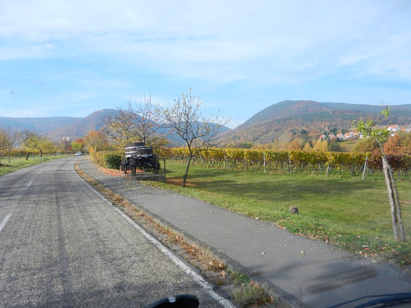 DSCN3824.JPG - Entlang der Straße befindet sich ein Weinlehrpfad.