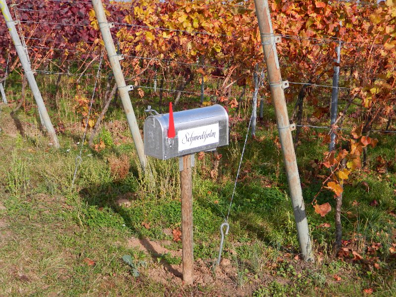 DSCN3829.JPG - Mitten in den Weinbergen steht ein Briefkasten?!?!?