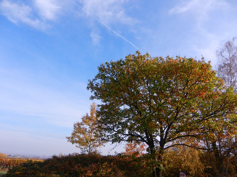 DSCN3833.JPG - Verwunderlich, welch schönes Wetter hier und heute herrscht...