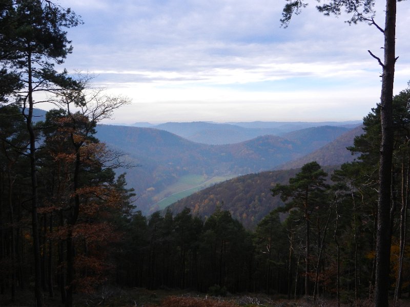 DSCN3887.JPG - Blick auf das Modenbachtal.