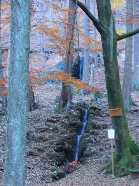 DSCN3927.JPG - Vorbei an einem Wasserfall... Bild ging nicht schärfer weil zuviel Weinschorle... *tütteltüüü*