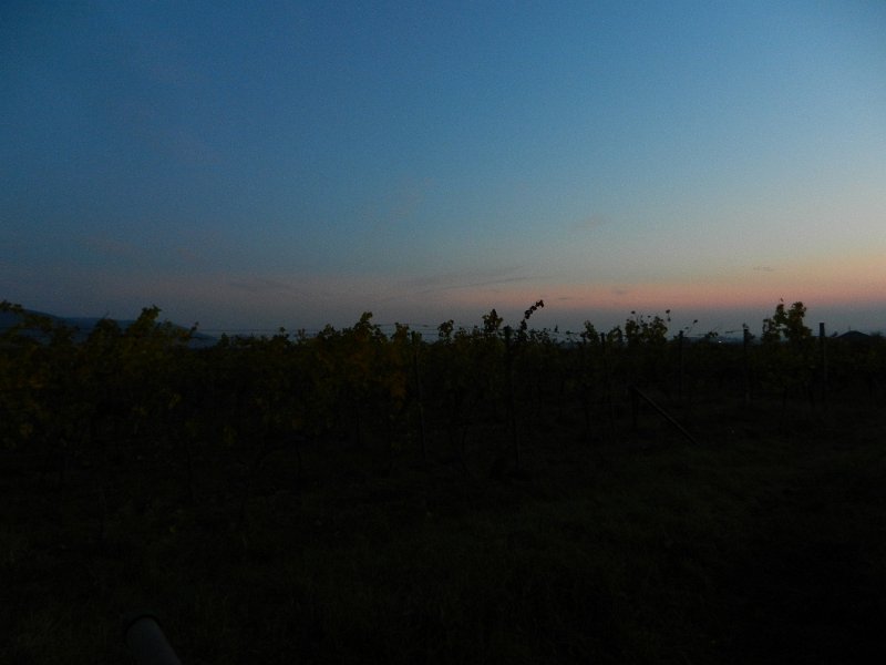 DSCN3969.JPG - Am nächsten Morgen beobachten wir einen schönen Sonnenaufgang.