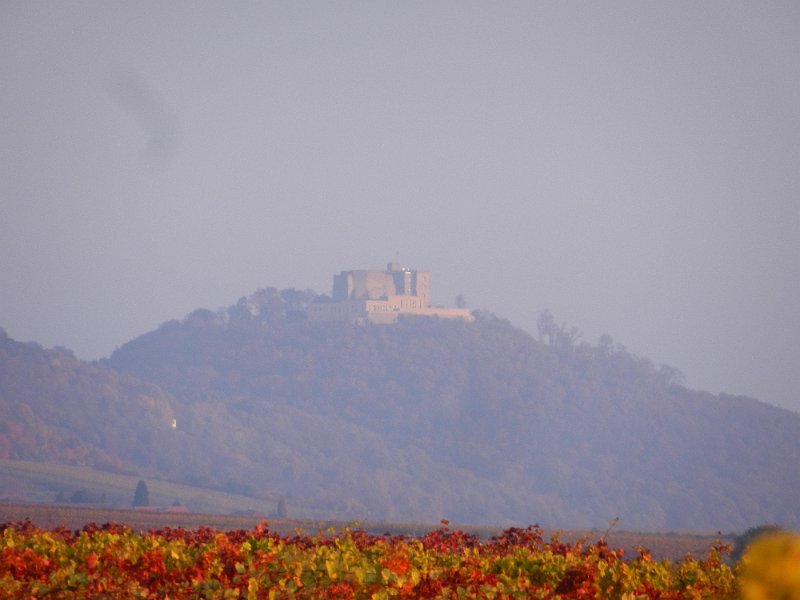 DSCN3986.JPG - Von hier kann man auf das Hambacher Schloss schauen.