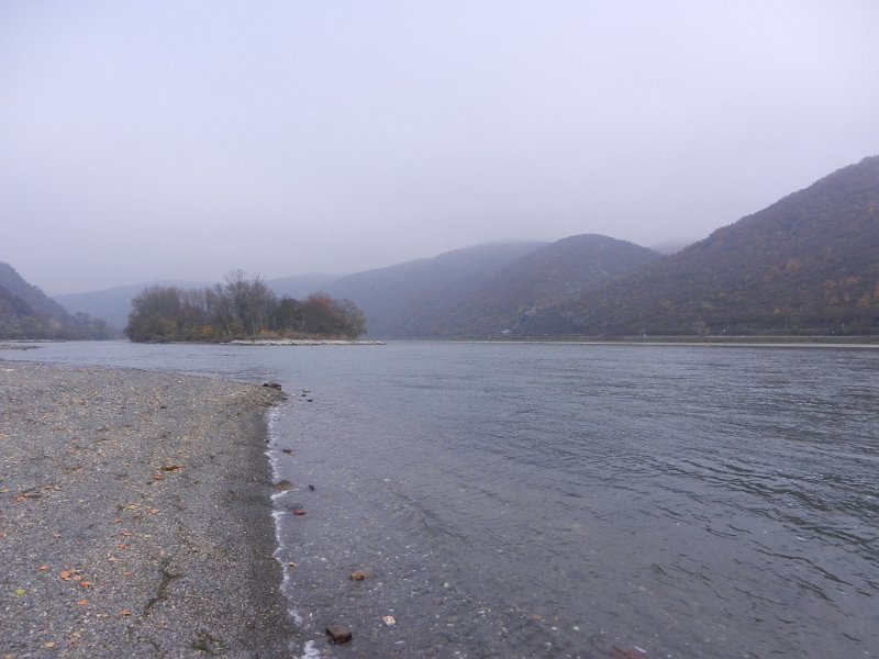 DSCN4089.JPG - Der Rhein führt momentan sehr wenig Wasser.