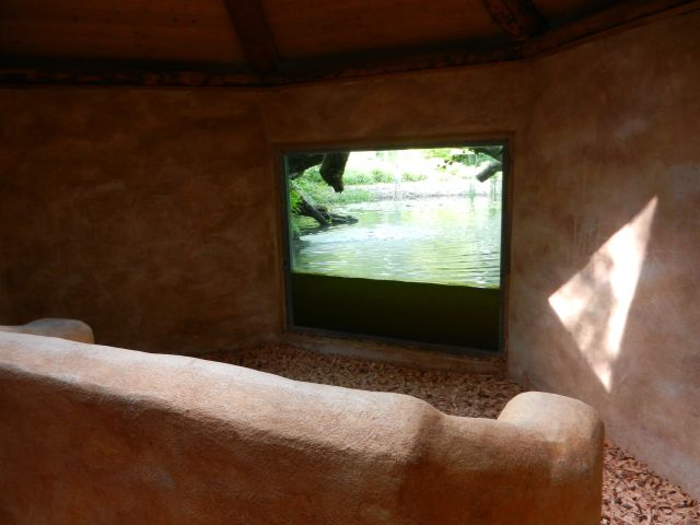 DSCN1981.JPG - Leider ist das Wasser so schmutzig, man kann nichts unter Wasser sehen :-(