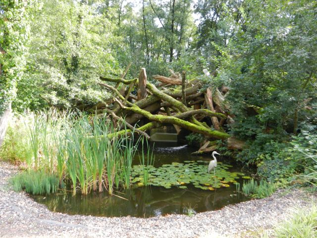 DSCN1982.JPG - Der Biberbau von außen.