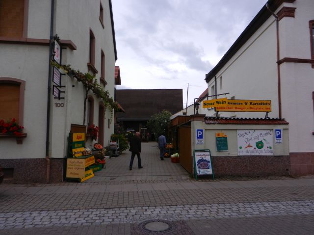 DSCN2037.JPG - Auf dem Heimweg machen wir dann noch in Schwegenheim bei einem Hofladen halt und decken uns mit Kürbis, Gurke, Salat und "Bizzler" ein.Leider müssen wir wieder heim... die nächste Tour kommt aber bestimmt...