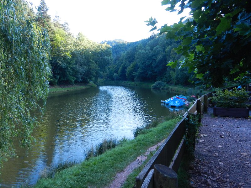 DSCN1540.JPG - Lustig, 9 Tretboote und der Weiher ist gerademal so ca. 300m lang und etwa 50m breit. :-)