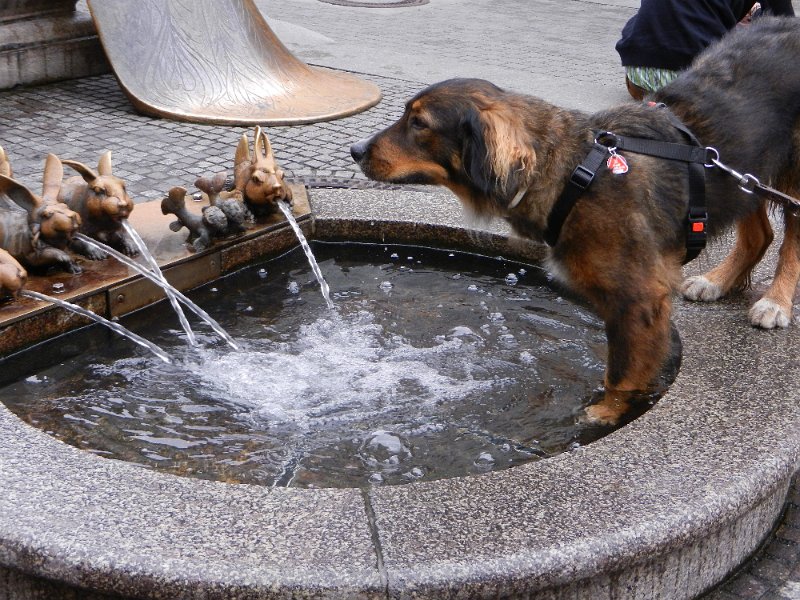 DSCN2359.JPG - Ein Bad im Kaiserbrunnen...