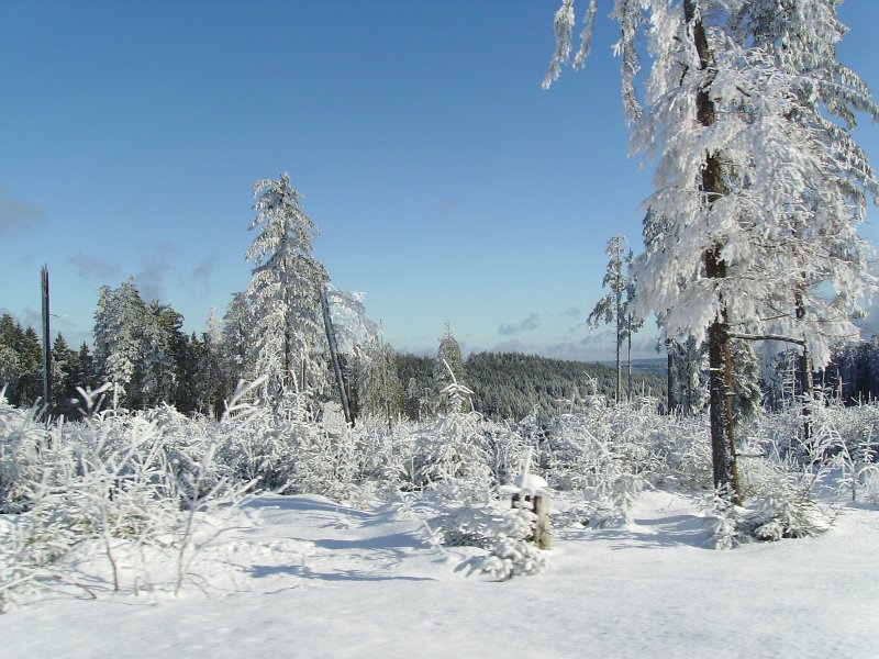 IMGP0103.JPG - Biene macht derweil gelassen immer wieder schöne Landschaftsbilder.