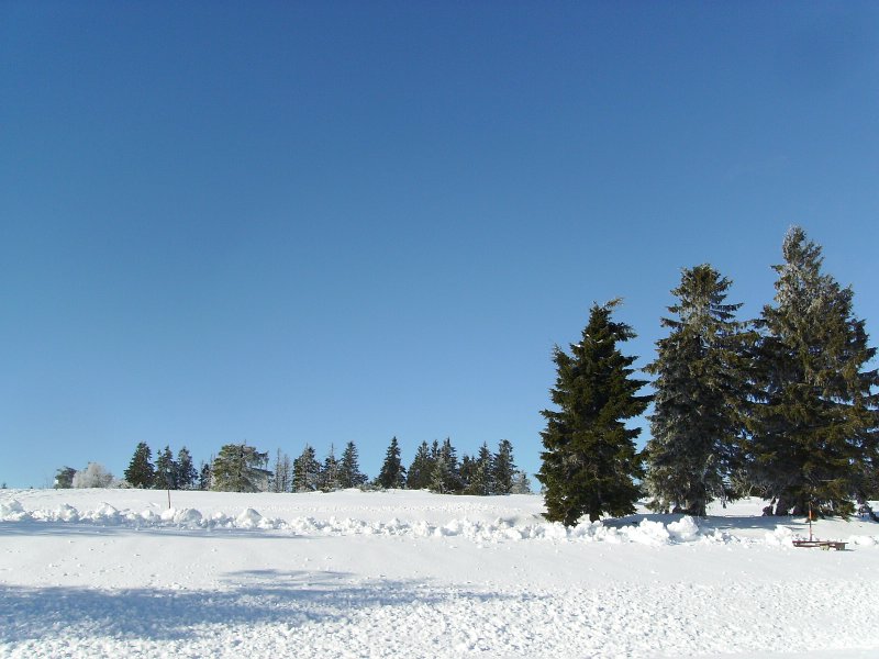 IMGP0106.JPG - Wir machen eine kurze Pause und wandern ein paar Meter durch den Schnee.