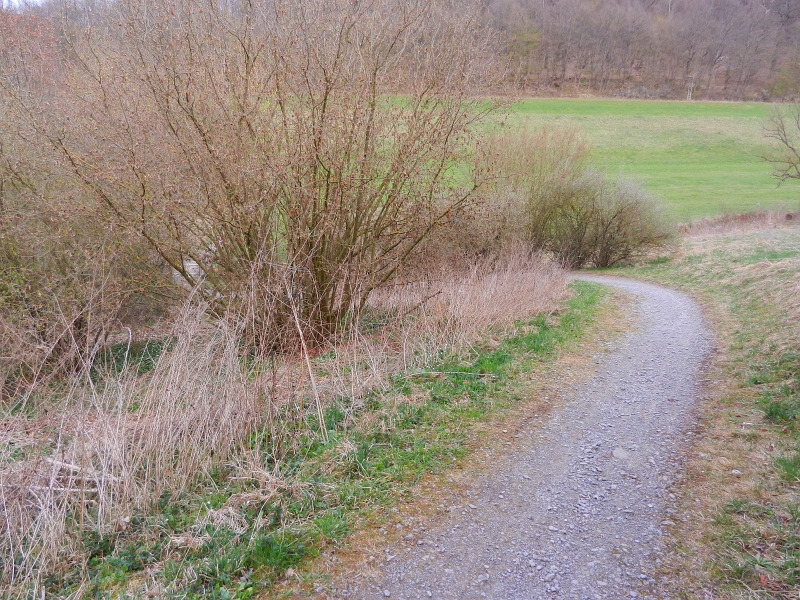 DSCN6321.JPG - Der Radweg ist eher was für Mountainbiker.