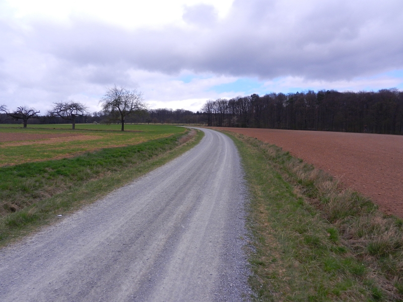 DSCN6337.JPG - ...und der Weg nimmt kein Ende... UFF... Hier am Waldrand haben wir dann eine Pause mit Rakoczy-Brot und Weinschorle eingelegt... Danach fährt es sich bestimmt besser... *hicks*