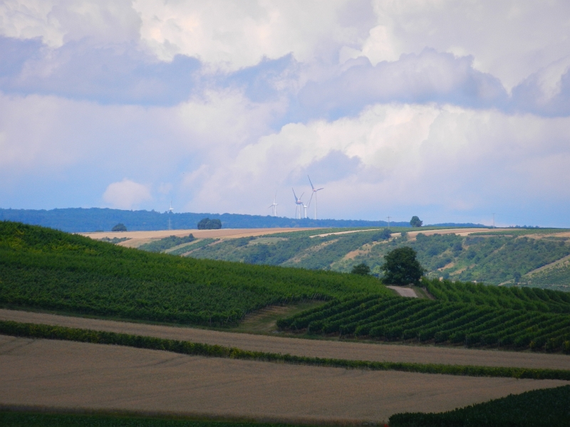 DSCN0287.JPG - Mit 15fach Zoom kann man die größte Windkraftanlage der Welt erkennen. Die E-126 auf dem Schneebergerhof bei Kirchheimbolanden.