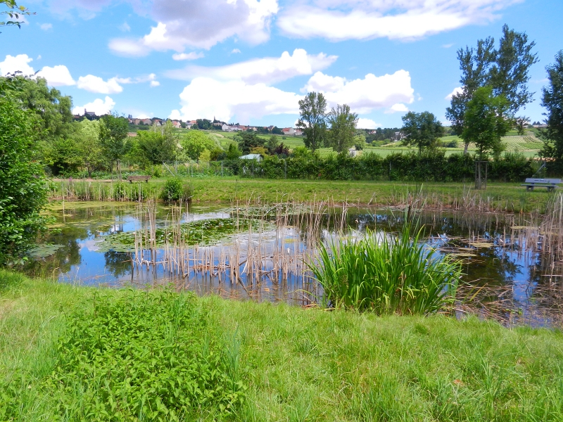 DSCN0324.JPG - Wir erreichen einen schönen Teich...