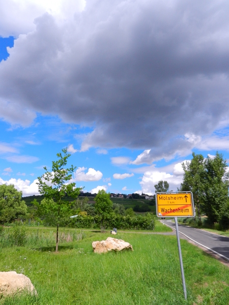 DSCN0328.JPG - Ohje... dunkle Wolken am Himmel!