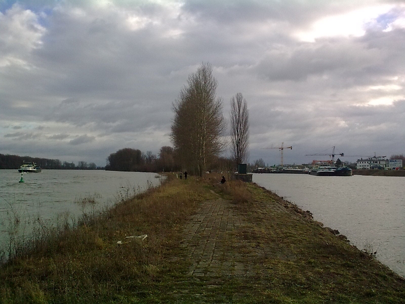 Bild0569.jpg - ...und wieder zurück. Links der Rhein, rechts die Werft.