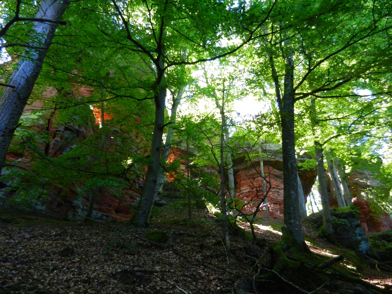 DSCN1036.JPG - Ganz plötzlich steht das riesige Felsmassiv vor uns... *STAUN*