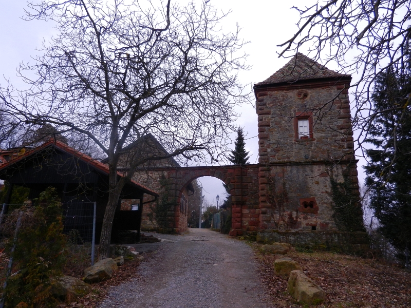 DSCN5466.JPG - Nach einem längeren Bergaufmarsch erreichen wir die Kropsburg.