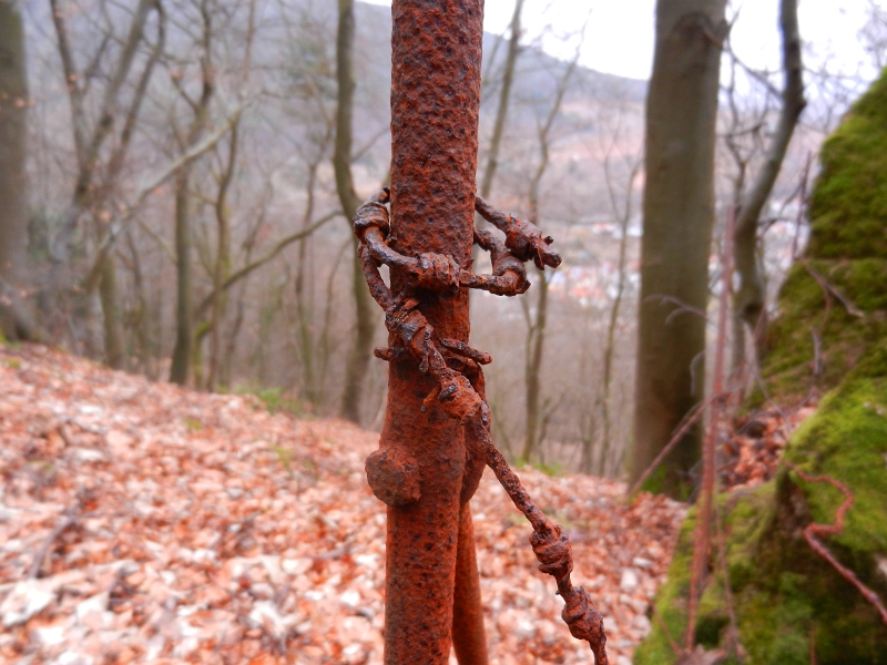 DSCN5496.JPG - Stacheldraht an einer Mariengrotte??? Naja, allzulange wird es nicht mehr dauern, bis der komplett weggerostet ist.