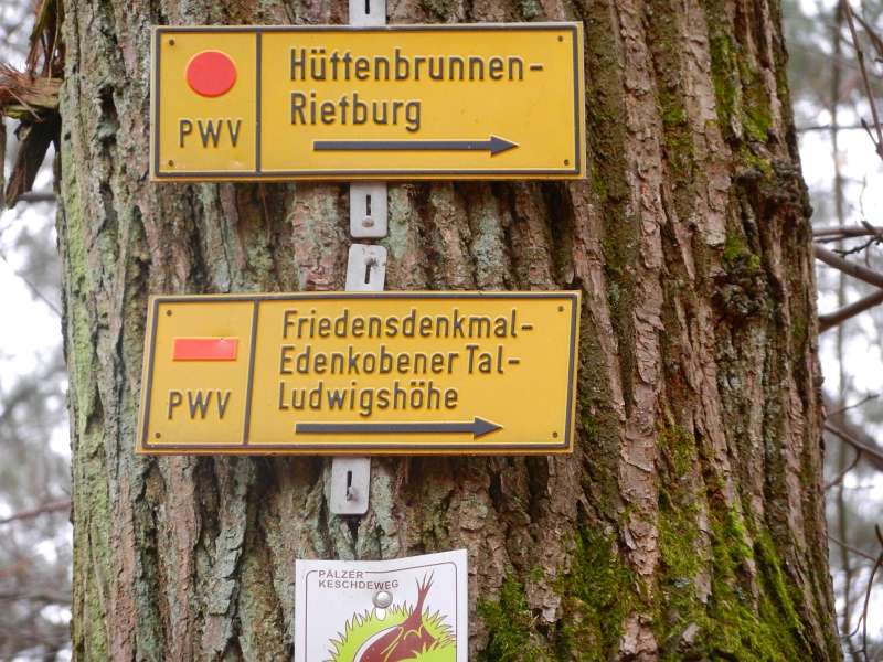 DSCN5502.JPG - Wir sind auf dem richtigen Weg, wir wollen zum Friedensdenkmal auf den Werderberg.