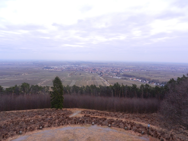 DSCN5516.JPG - Wow, ein gigantischer Blick über Edenkoben und die halbe Welt... Naja, zumindest wenn es nicht so trübe ist.