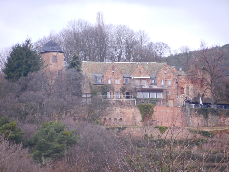 DSCN5552.JPG - Die Kropsburg von unten.