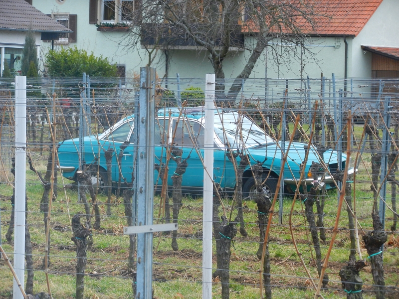 DSCN5563.JPG - In Edenkoben steht einsam und verlassen ein NSU Ro-80 im Wingert?!?!?