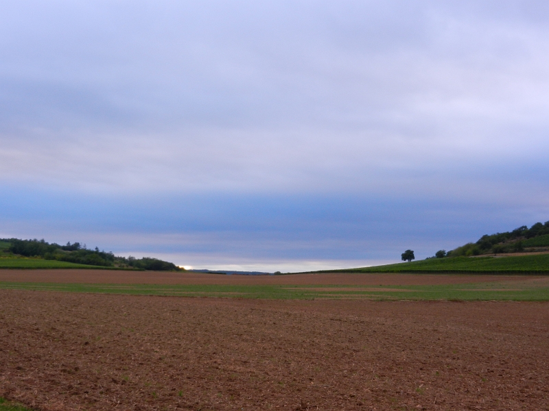 DSCN1176.JPG - Leider ist das Wetter nicht soo schön, es ist kalt und windig! :-(