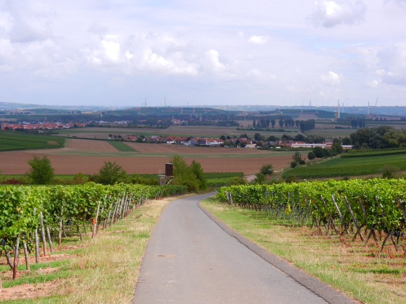 DSCN1195.JPG - Immer weiter erklimmen wir den Berg.