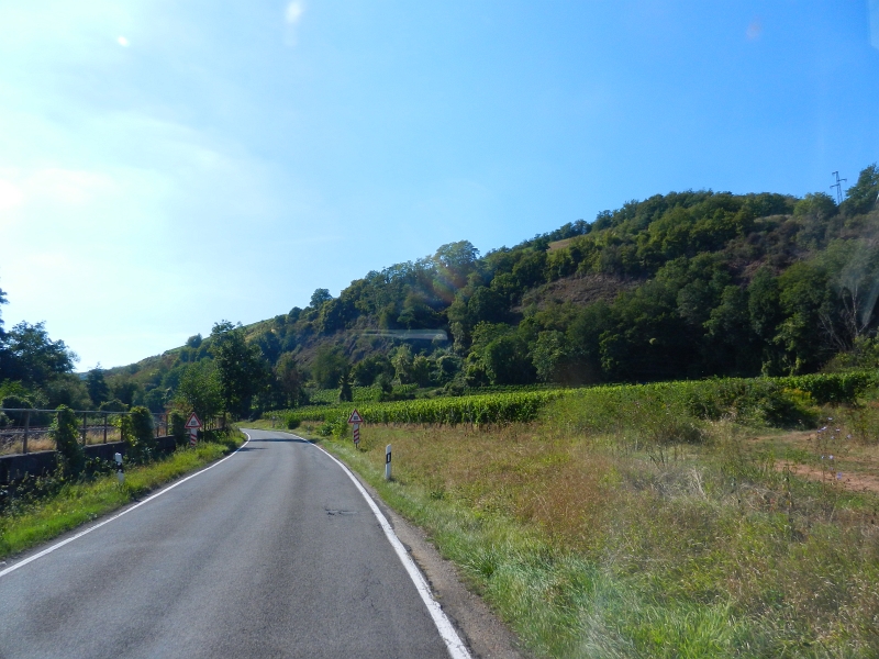 DSCN1254.JPG - Wir hingegen fahren weiter an die Nahe, meine Eltern besuchen. Die befinden sich dort gerade auf dem Camping Nahetal in Oberhausen.