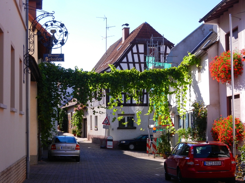 DSCN0839.JPG - Links im Bild habe ich, im Weingut Schäfer, einige Flaschen Wein mitgenommen :-)Es ist furchtbar heiß und da soll man doch viel trinken...