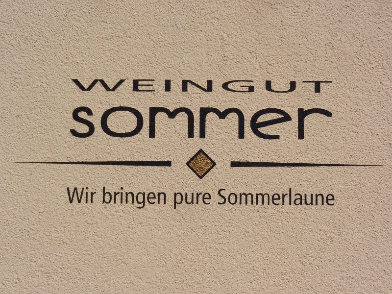 DSCN0903.JPG - Weingut Sommer