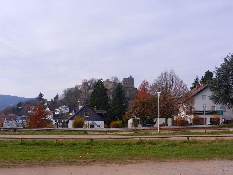 DSCN3429.JPG - Vom Stellplatz hat man einen schönen Blick auf die Burg.