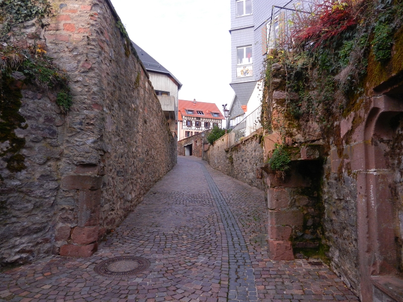 DSCN3438.JPG - Hmmm, hier gehts in die Altstadt... Ich will aber zuerst hoch zur Burg und dann auf dem Rückweg durch die Stadt.