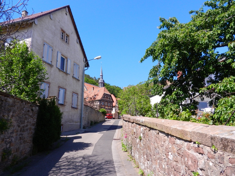 DSCN6949.JPG - ...wieder zurück in Gleisweiler.