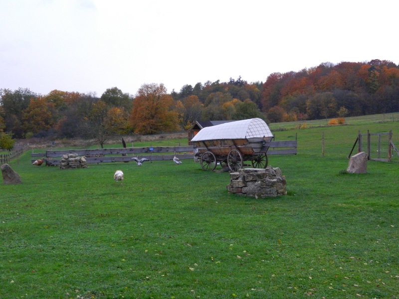 DSCN3259.JPG - Überall um den Hof gibt es sehr viel "Getier".