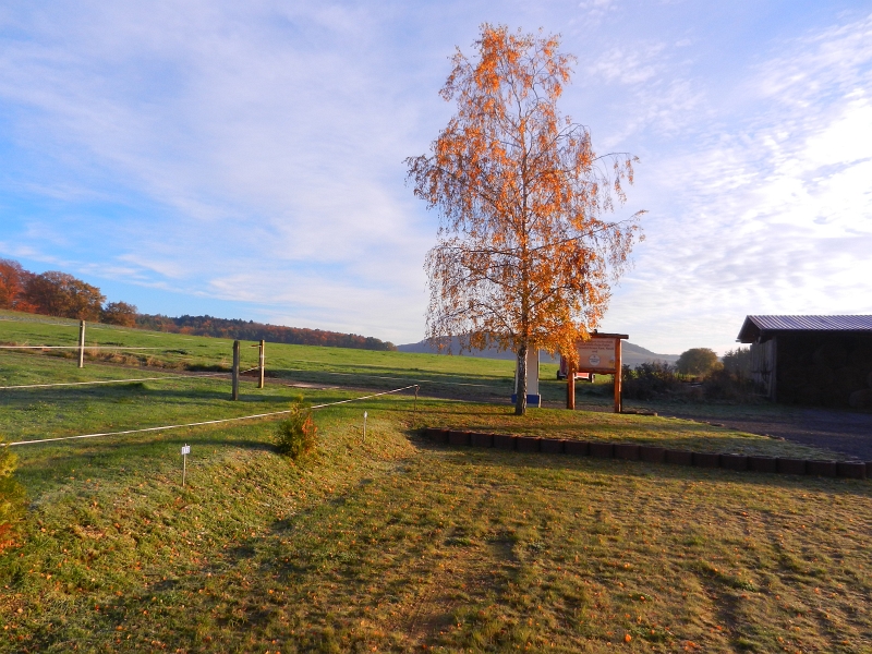 DSCN3287.JPG - Mannomann, was ein Wetter. Gestern noch Schnee und eiskalt und heute scheint die Sonne.