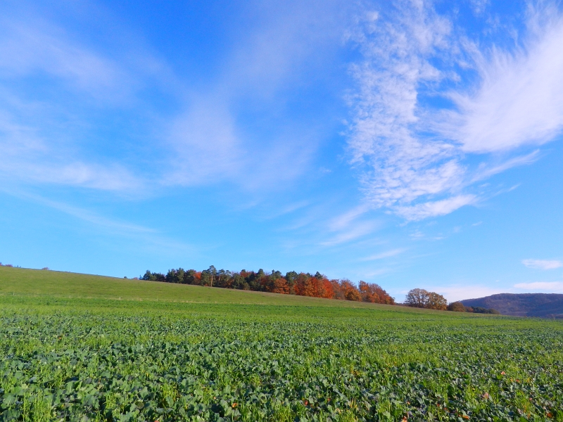 DSCN3322.JPG - Echt schönes Wetter... Ok, es ist schon ein wenig frisch... aber trotzdem wunderschön!