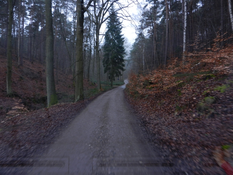 DSCN4989.JPG - Am nächsten Tag (Samstag) fahren wir zum Oppauer Haus bei Wachenheim. Der Weg dorthin war an einer Stelle 2 Meter breit. Dixi ist 2,26 Meter breit. Durchgepasst haben wir dann doch.Im Bild die Zufahrt zum Oppauer Haus.