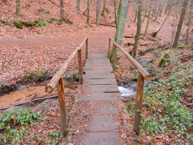 DSCN5001.JPG - Die furchteregende Brücke über den reisenden Fluss... :-)